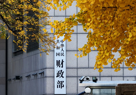 财政部3600亿注资 意在长远还是应急？